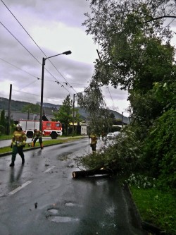 2016-07-12 Einsatz - Sturmeinsatz